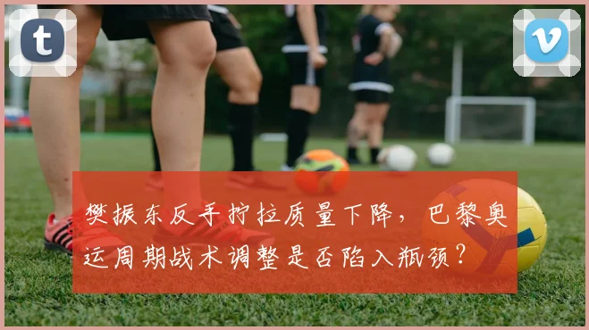 樊振东反手拧拉质量下降，巴黎奥运周期战术调整是否陷入瓶颈？